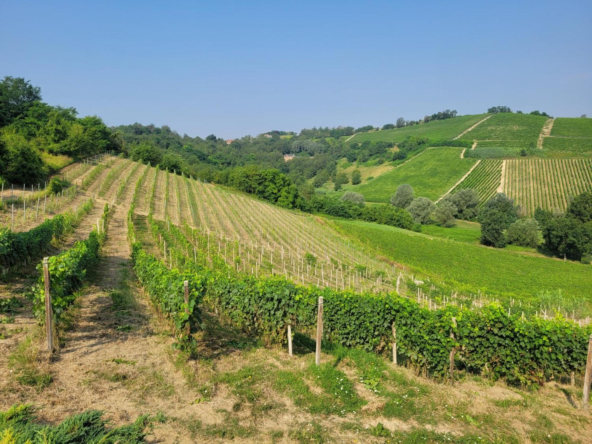 Cascina Allegria Castelnuovo  Экстерьер фото